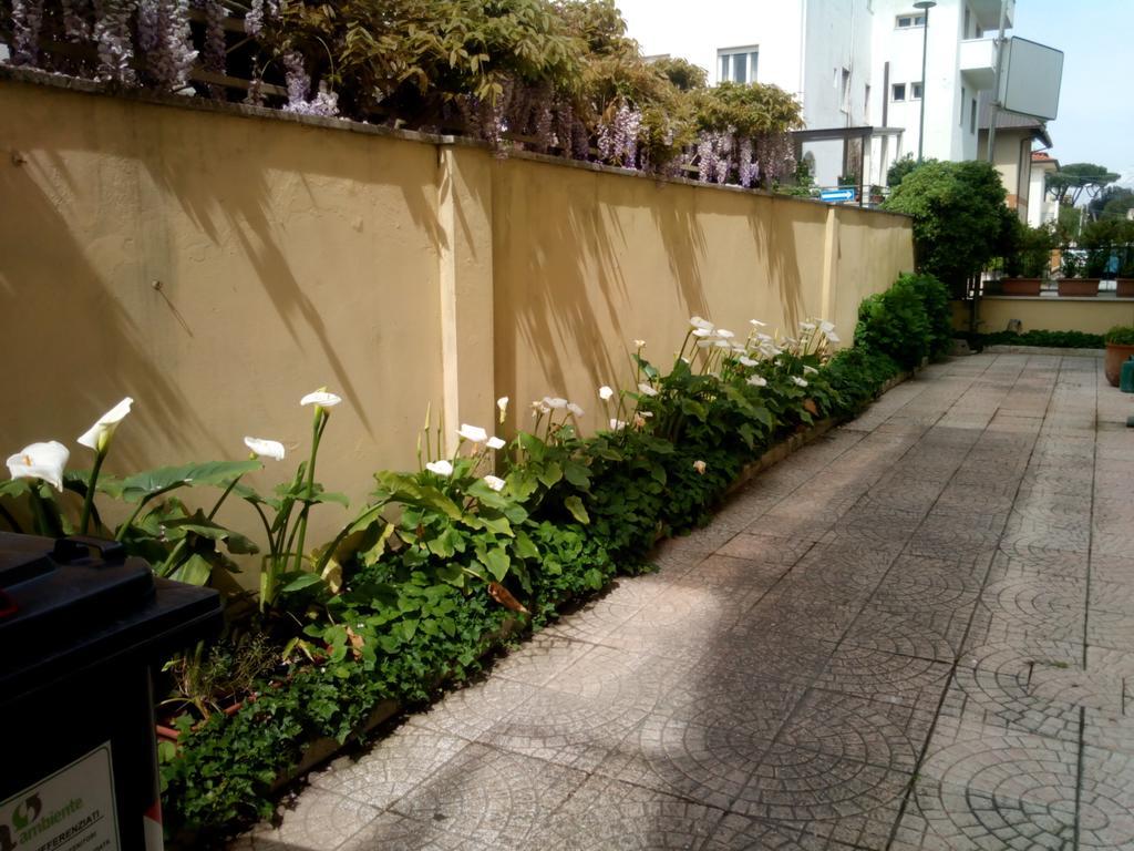 Hotel Margot 利多迪卡马约雷 外观 照片